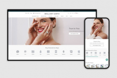 BrilliantEarth Professional Store Setup